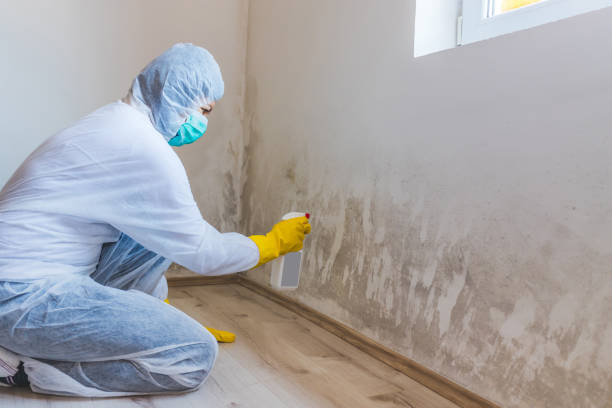 Licensed Commercial Mold Remediation service in Columbus, MN - WQB Mold Removal