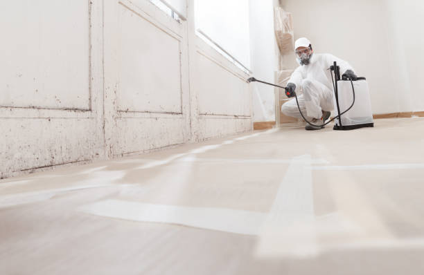 24/7 Emergency Commercial Mold Remediation experts in Columbus, MN