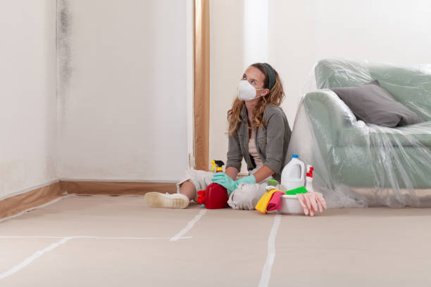 Reliable Commercial Mold Remediation contractor in Columbus, MN by WQB Mold Removal